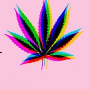 Meet your Posher, Bryan